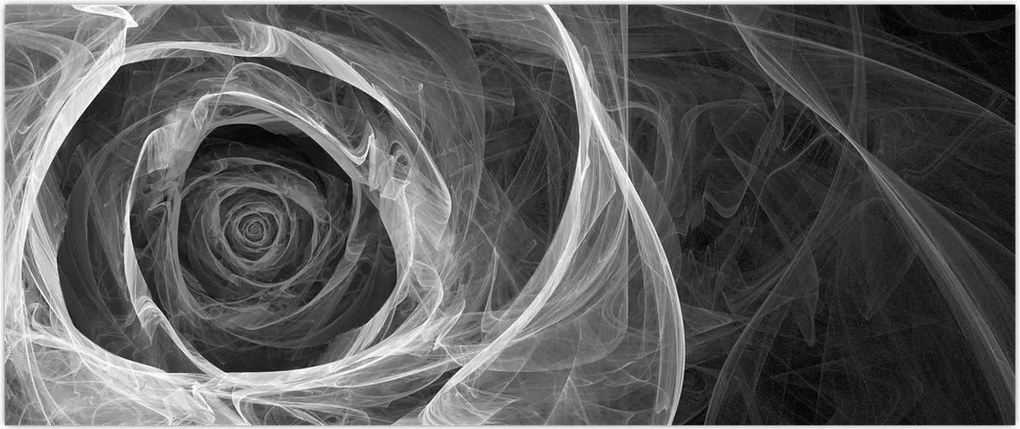 Tablou - Abstract trandafir negru și alb (120x50 cm)
