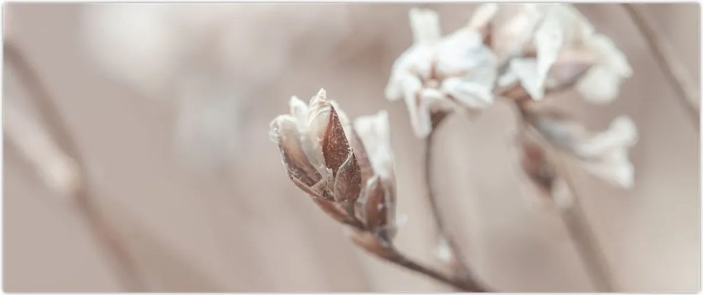 Tablou - Detaliu ramură (120x50 cm)