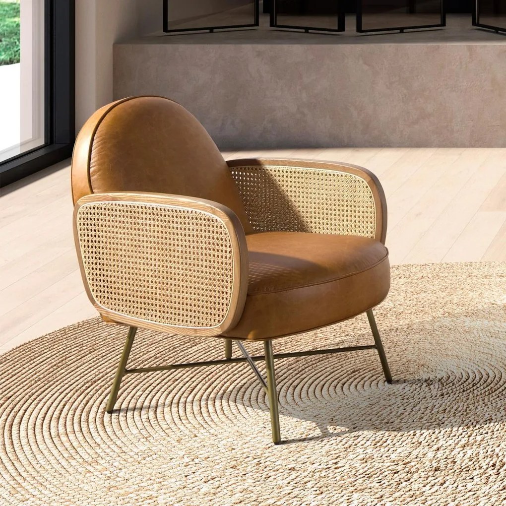 Fotoliu design LUX, Ratan, Piele Naturala 5162