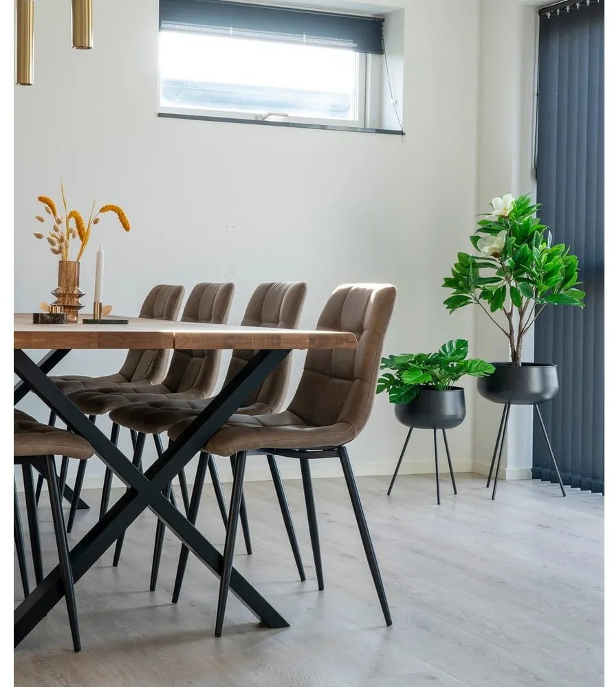 Scaune de dining maro deschis 2 buc. Moseby – Bonami Essentials