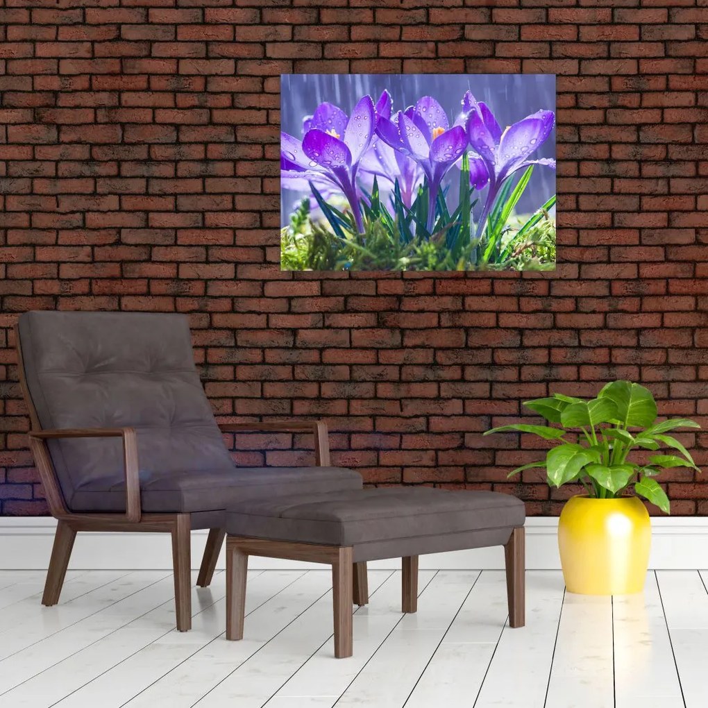 Tablou cuflori în ploaie (70x50 cm)