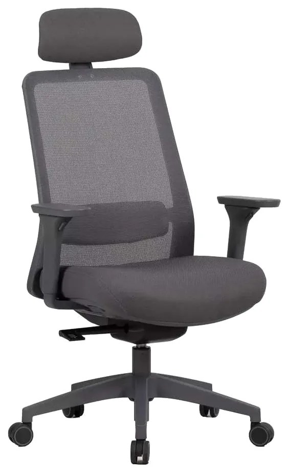 Scaun de birou Cantaron Plus, gri