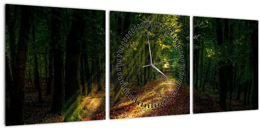 Tablou cu poteca prin pădure (cu ceas) (90x30 cm)
