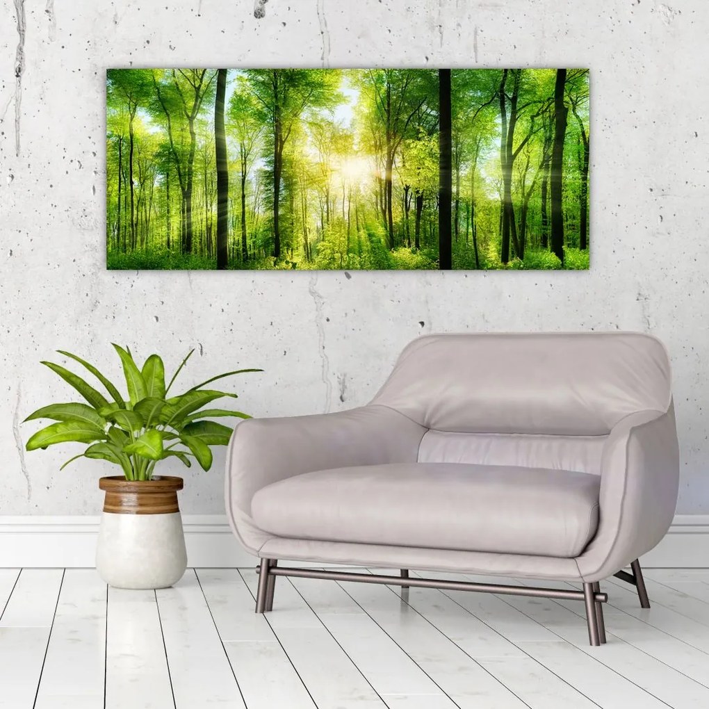 Tablou - Răsărit în pădure (120x50 cm)