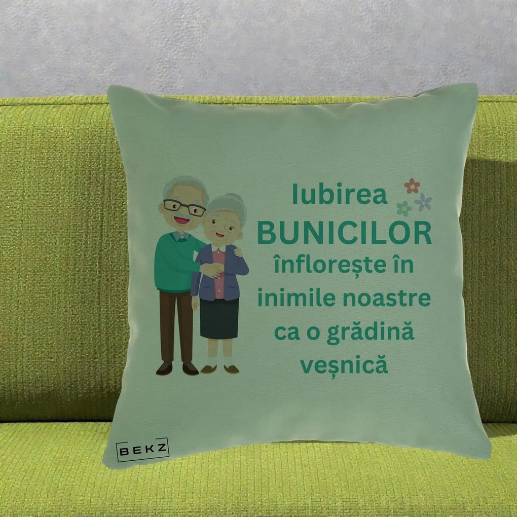 Cadou pentru Bunici - Perna Personalizata Bunicii Iubirea Infloreste Cuplu Senior Teal, 40x40 cm, Verde, Husa Detasabila, Perna Inclusa, BEKZ®