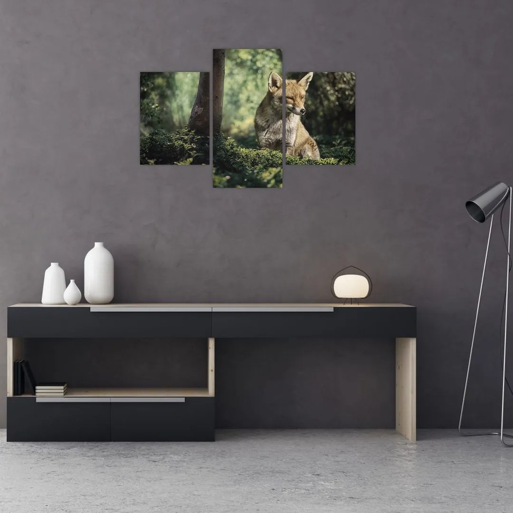 Tablou cu vulpe (90x60 cm)