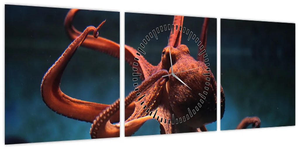 Tablou - Caracatiță (cu ceas) (90x30 cm)