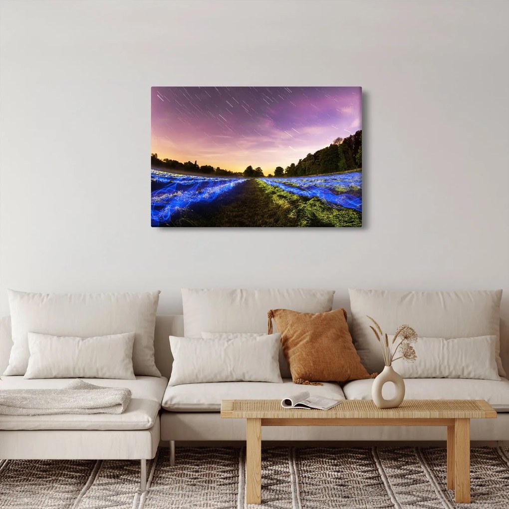 Tablou cu câmp colorat (90x60 cm)