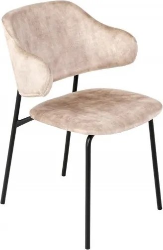 Set 2 scaune stil modern Tracy Alpine, catifea sampanie-greige