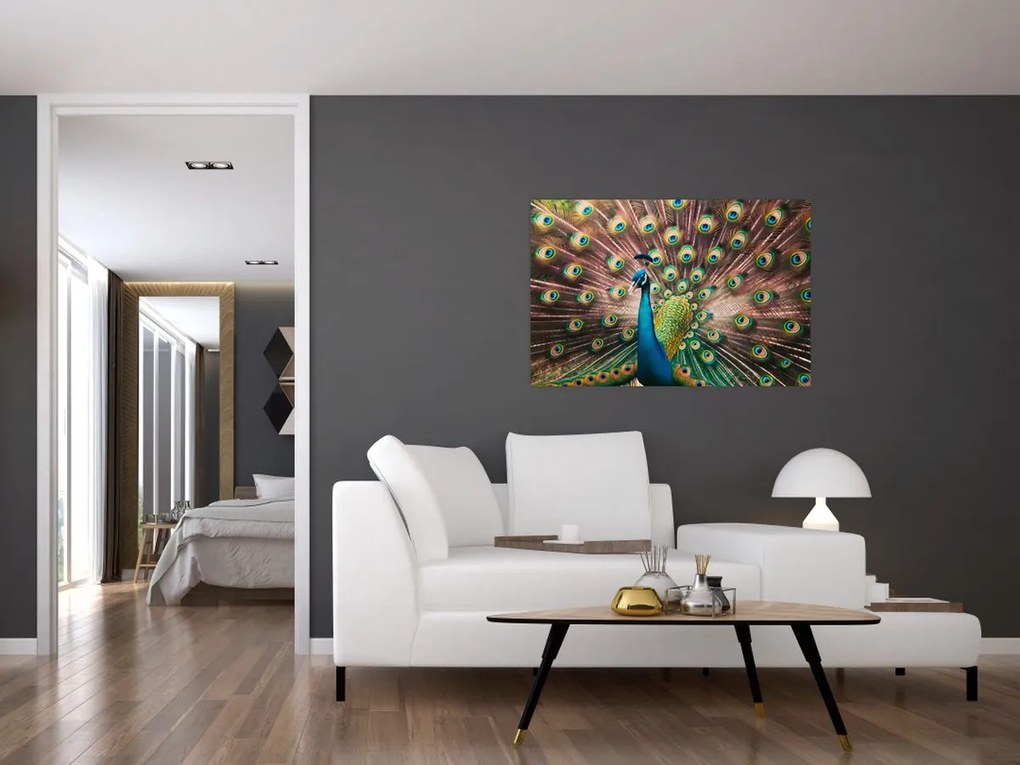 Tablou - Păun (90x60 cm)