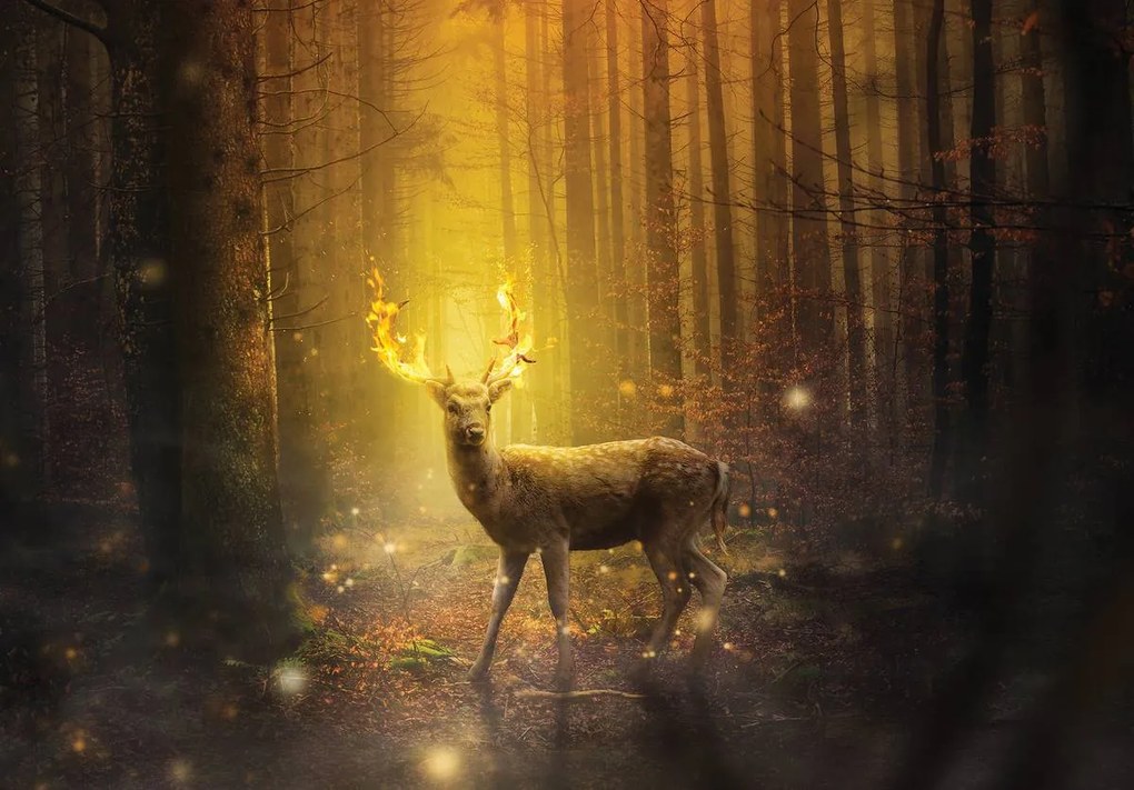 Fototapet - Cerb în lumina apusului de soare (254x184 cm)