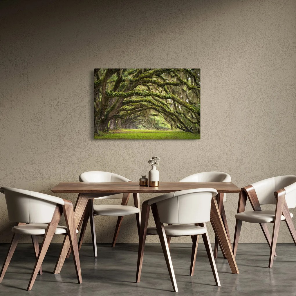 Tablou - Oaks Avenue, Charleston, Carolina de Sud, SUA (90x60 cm)