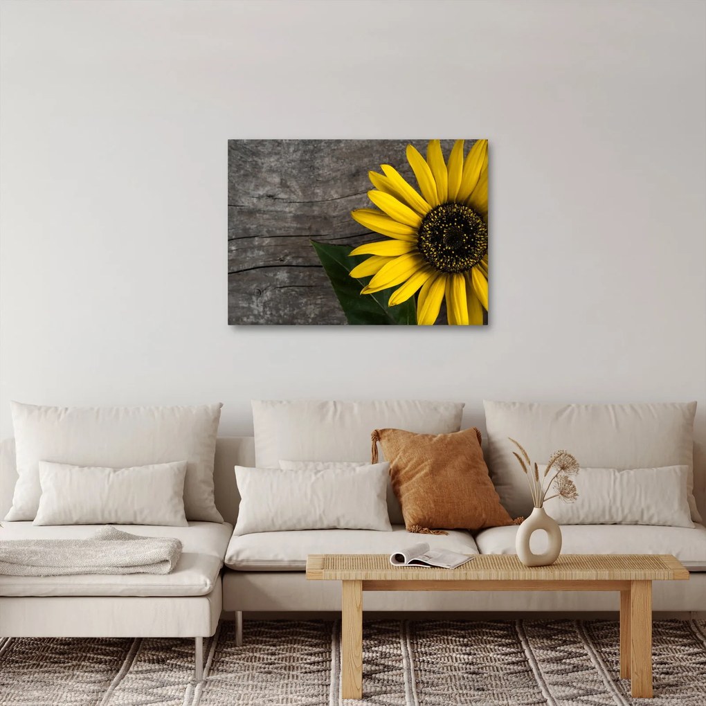 Tablou - Floare de floarea soarelui (70x50 cm)