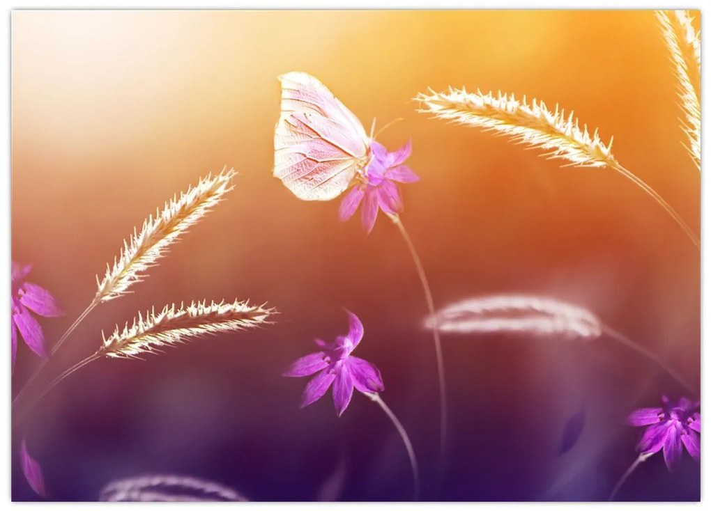 Tablou pe sticlă - Fluture roz (70x50 cm)