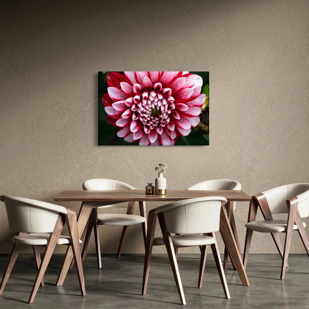 Tablou cu dalie roz (90x60 cm)