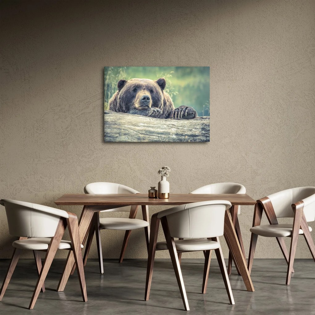 Tablou cu urs (70x50 cm)