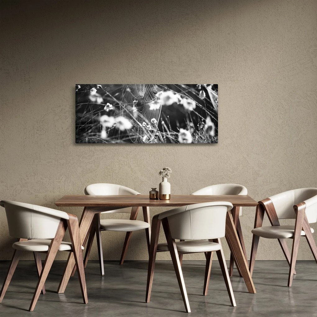 Tablou - Pânza de păianjen în pajiște (120x50 cm)