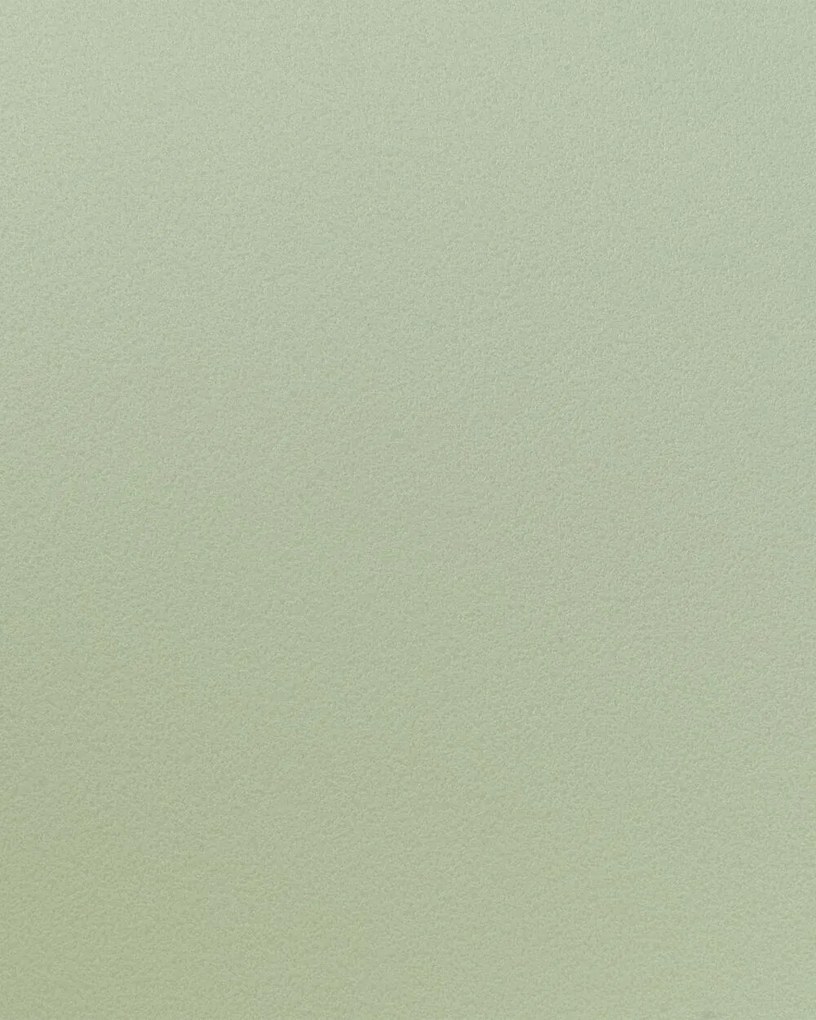 Set 2 buc scaune sufragerie Fonza (verde deschis). 1080360