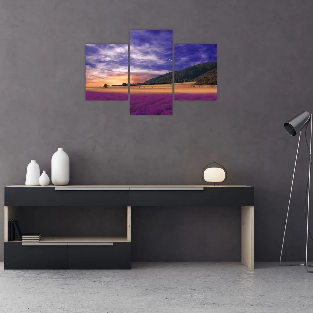 Tablou cu lunca cu lavandă (90x60 cm)