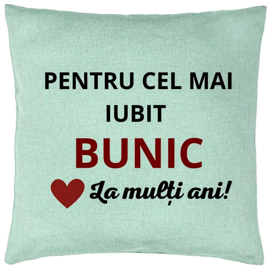 Perna Decorativa pentru Bunicul 3, 40x40 cm, Verde Menta, Husa Detasabila, Burduf