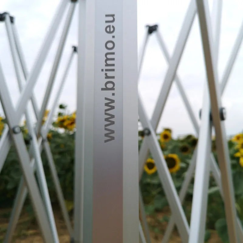 Cort de nuntă 3x6 m din aluminiu – Elegant și de montare rapidă - cu 3 pereți - Verde