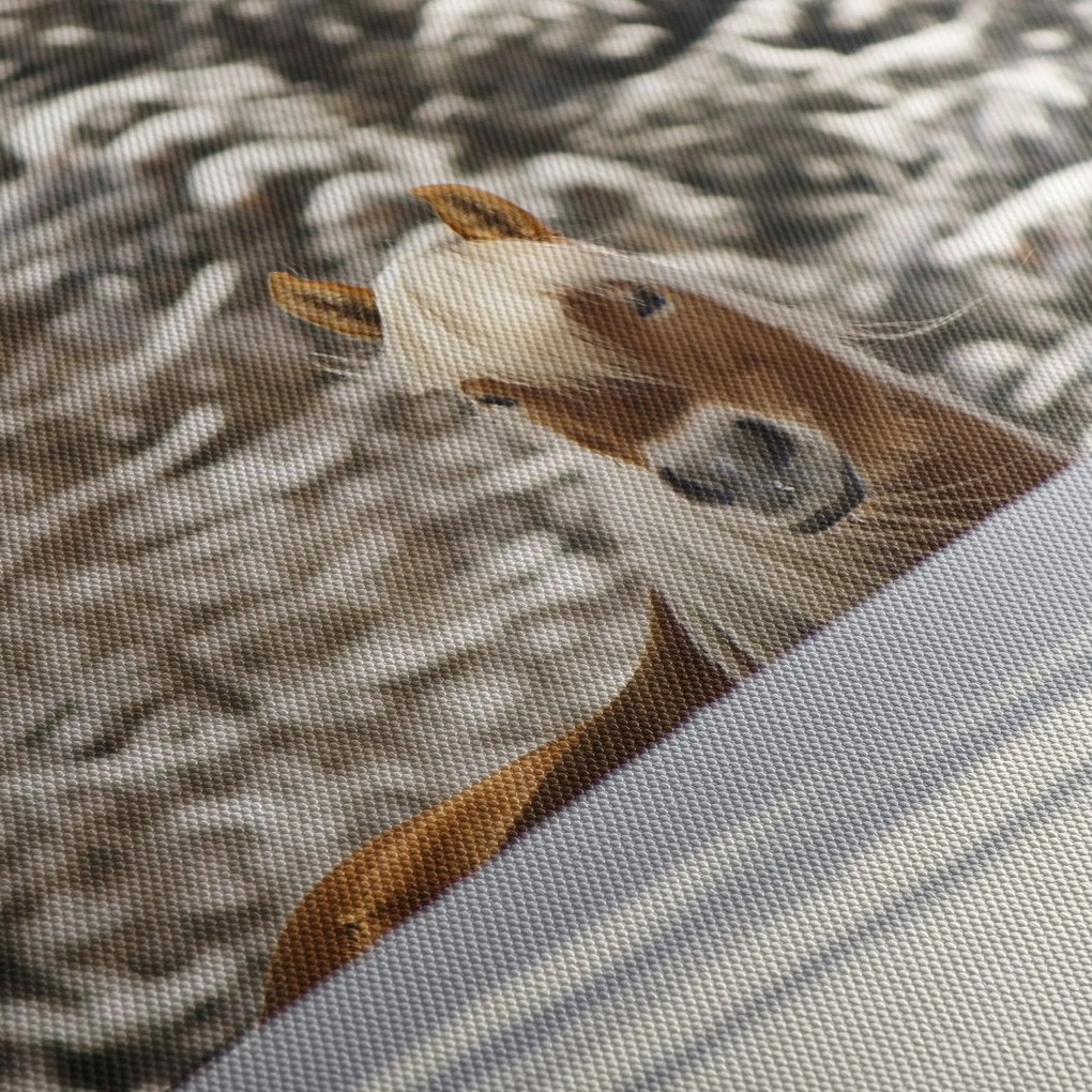 Tablou - Cal în peisaj de iarnă (cu ceas) (90x30 cm)