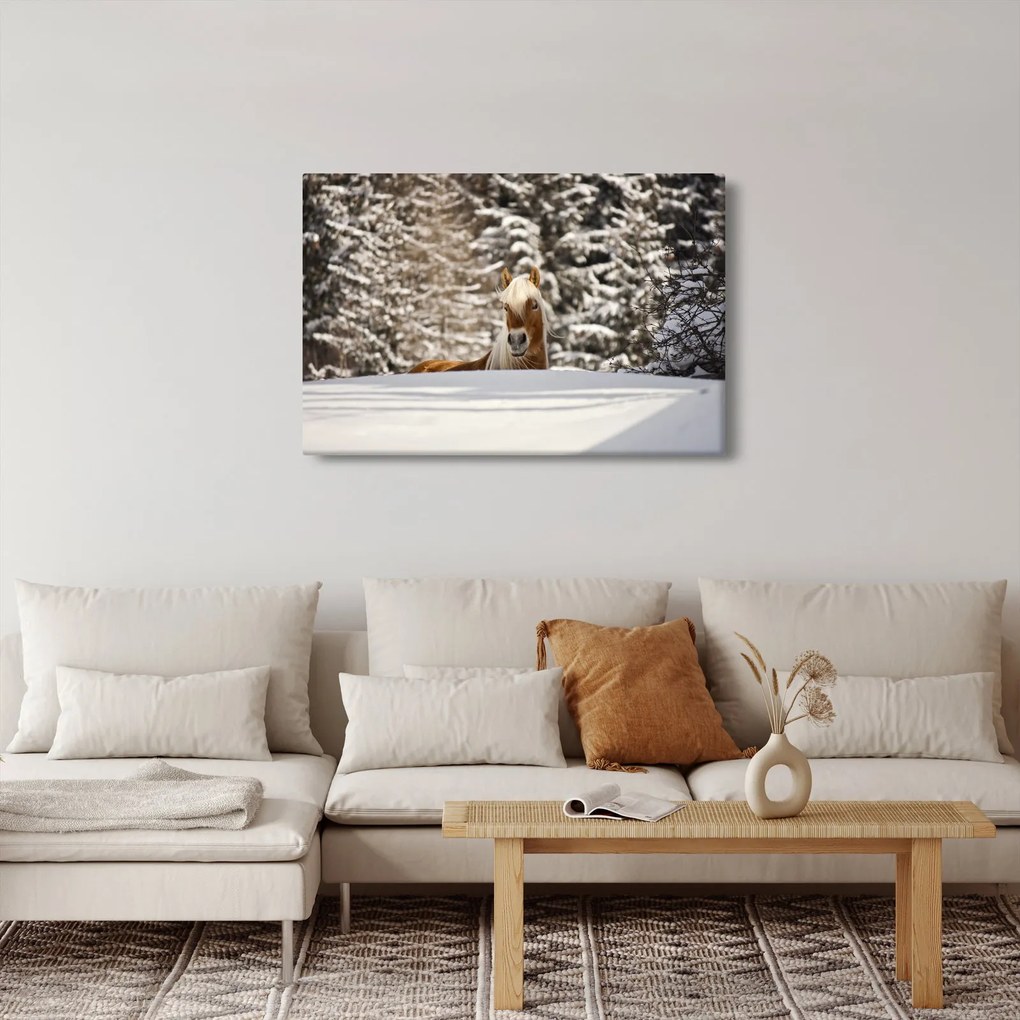 Tablou - Cal în peisaj de iarnă (90x60 cm)