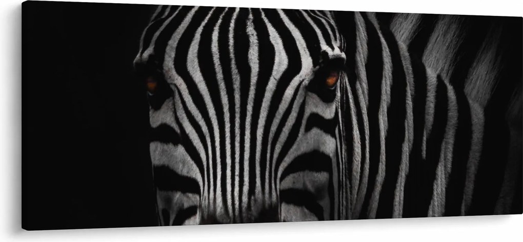Tablou cu zebră (120x50 cm)