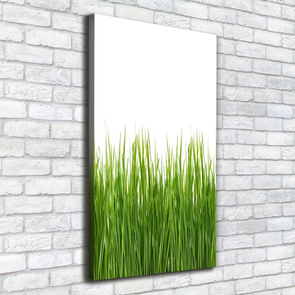 Imprimare tablou canvas Iarbă verde