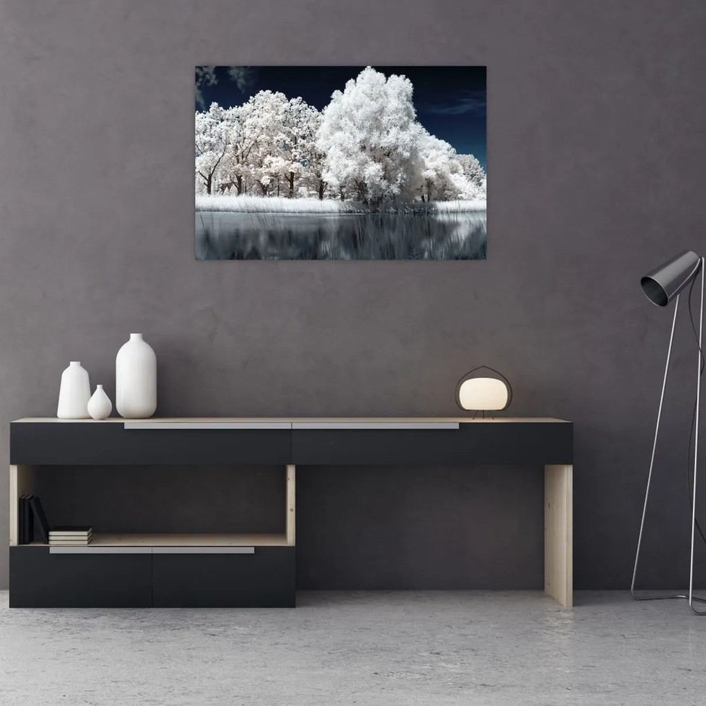 Tablou - Albă ca Zăpada Albă ca Zăpada Copaci (90x60 cm)