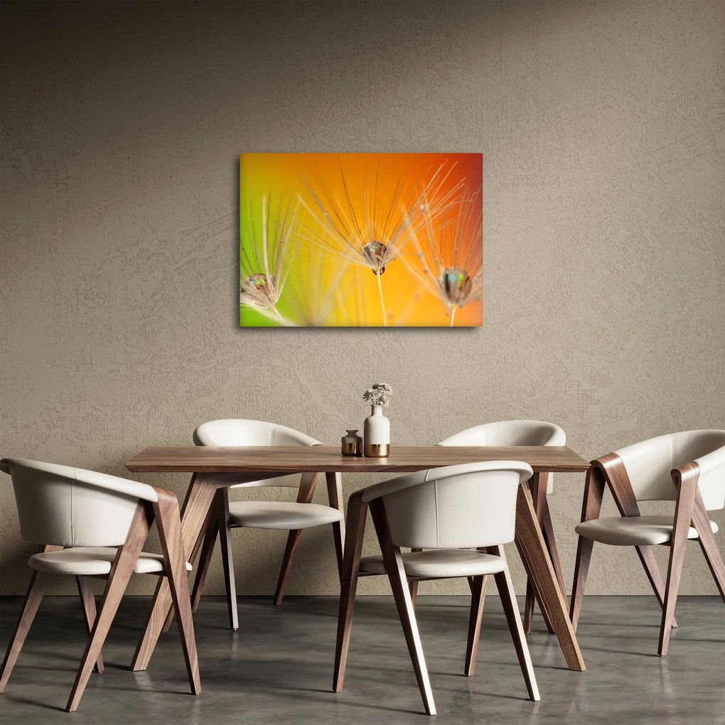 Tablou cu picături pe plantă (70x50 cm)