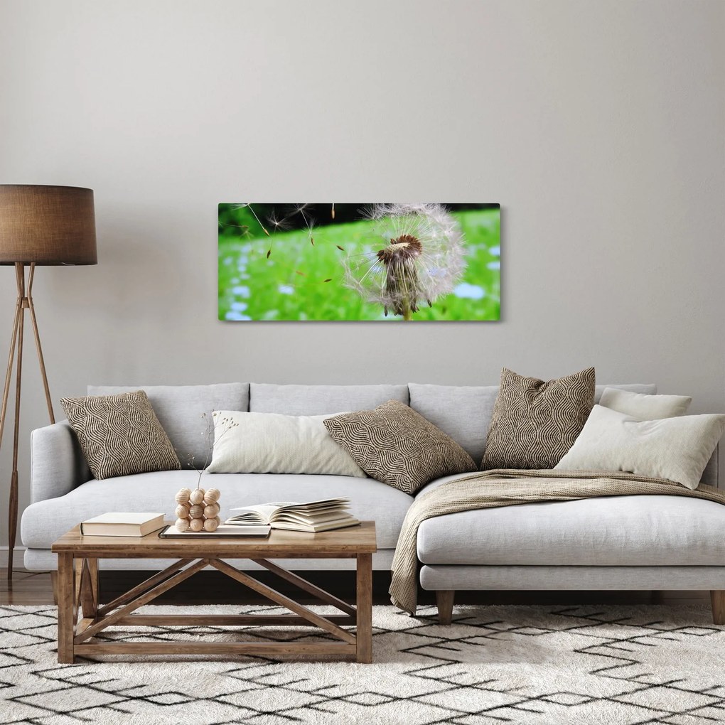 Tablou cu păpădie (120x50 cm)