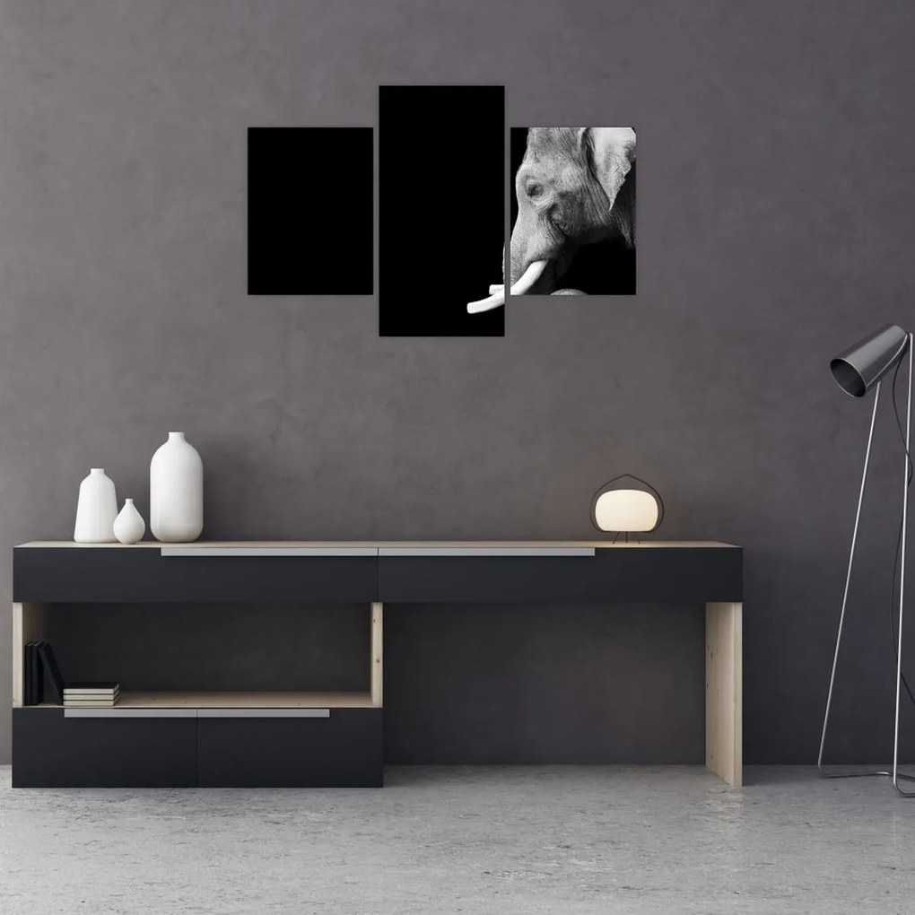 Tablou - Elefant (90x60 cm)