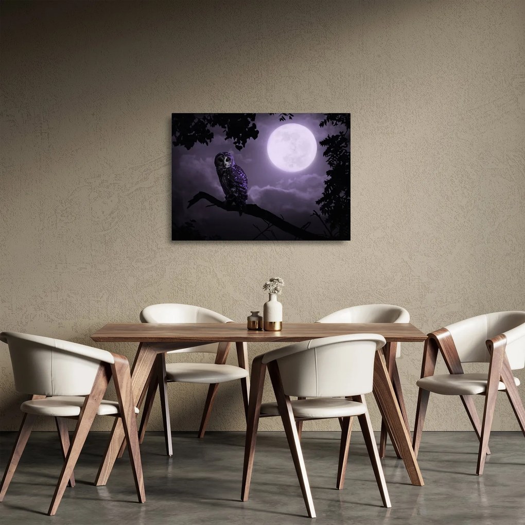 Tablou pe sticlă - Bufniță de noapte, violet (70x50 cm)