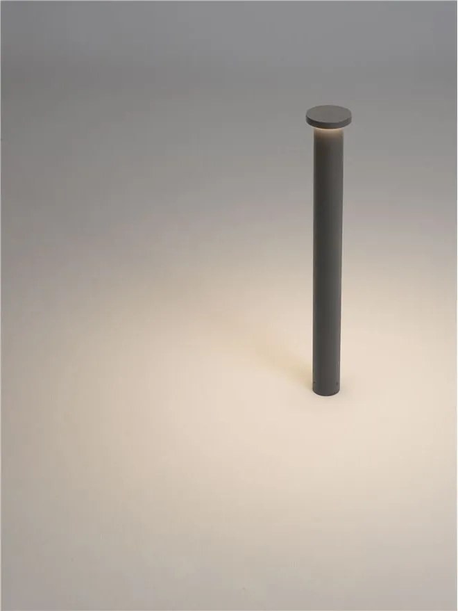 Stalp de exterior LED 3000K, IP65 Bast H-65cm gri inchis