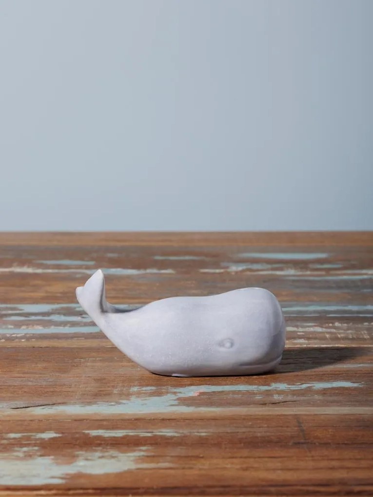 Set solnita si pipernita, Whale