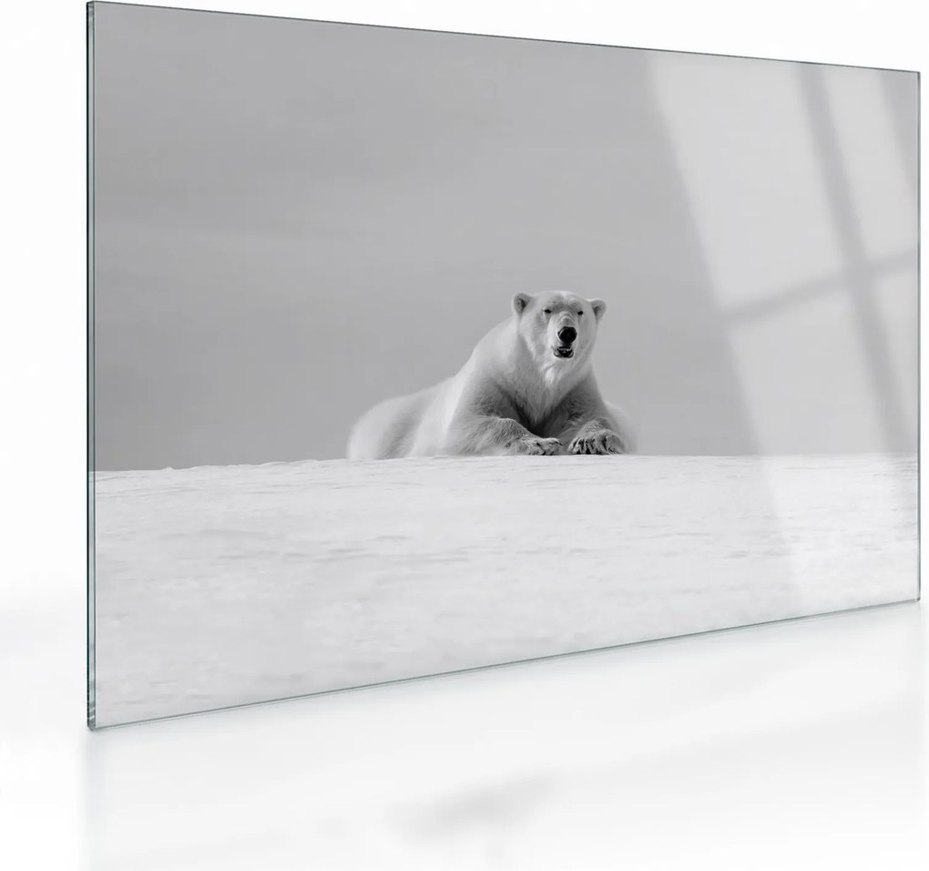 Tablou pe sticlă - Ursul polar (70x50 cm)