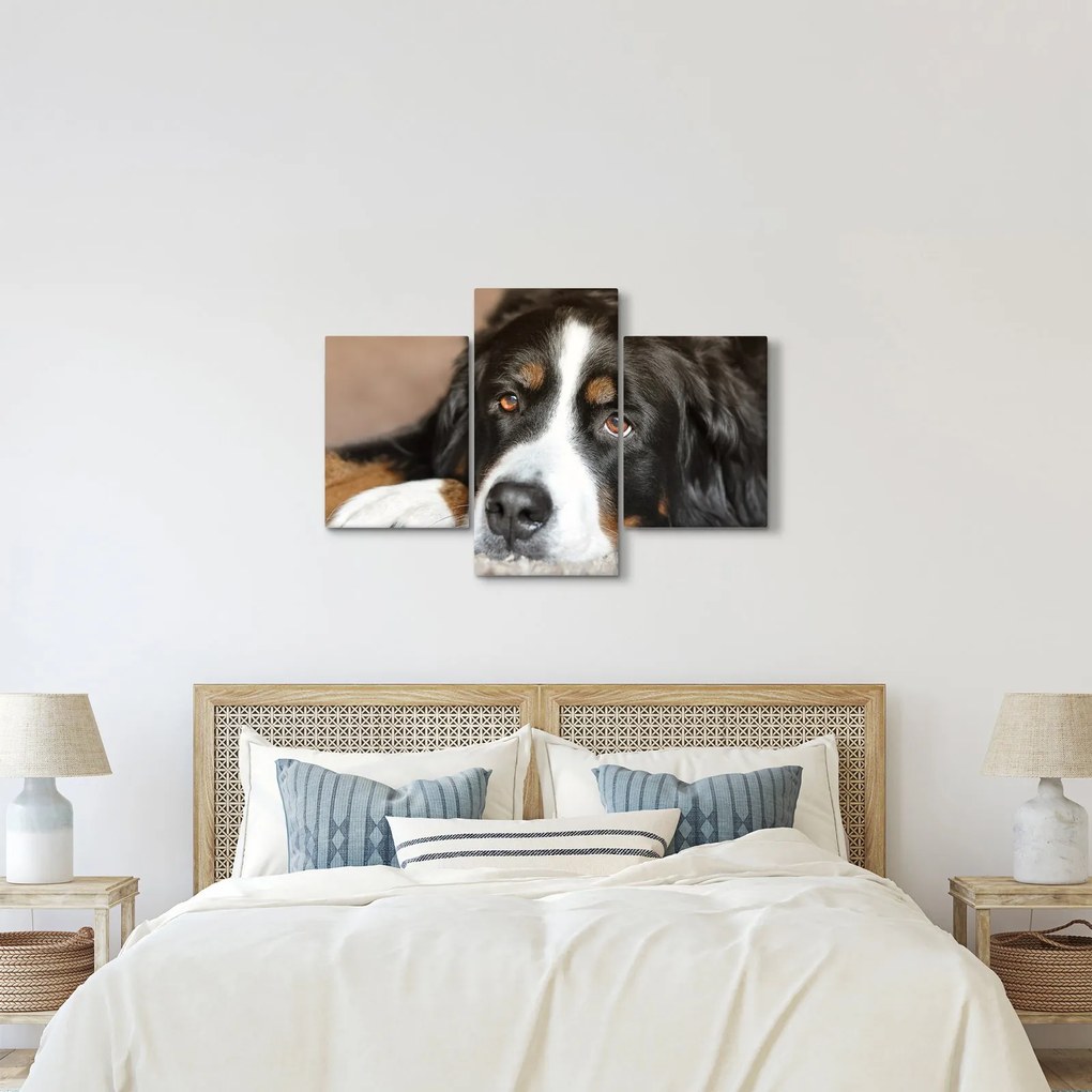 Tablou cu câine (90x60 cm)