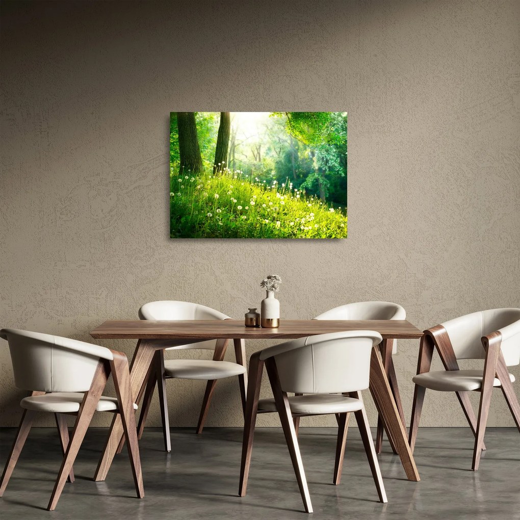 Tablou pe sticlă - Pajiște magică plină de păpădii (70x50 cm)