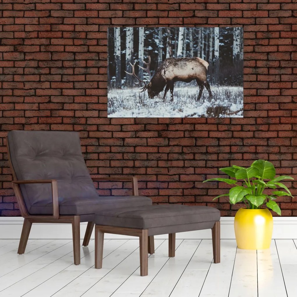 Tablou - cerbul iarna (90x60 cm)