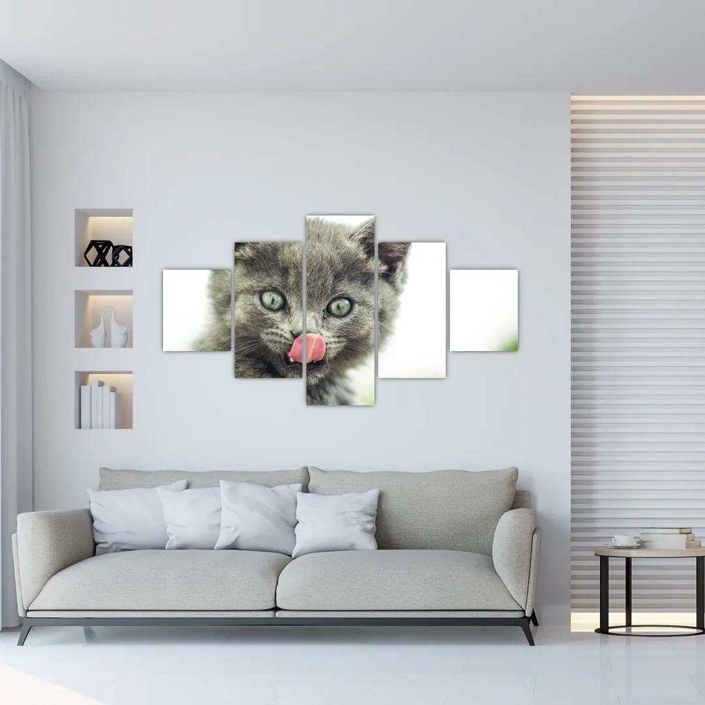 Tablou cu pisicuța lingându-se (125x70 cm), în 40 de alte dimensiuni noi