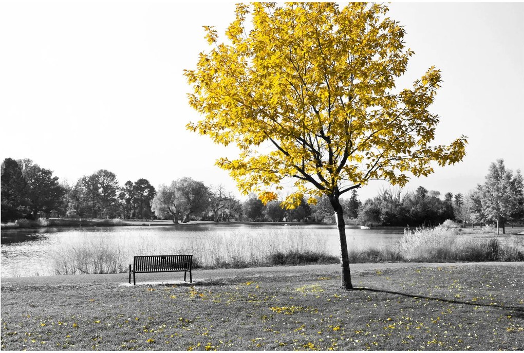 Tablou - relaxare în parc (90x60 cm)