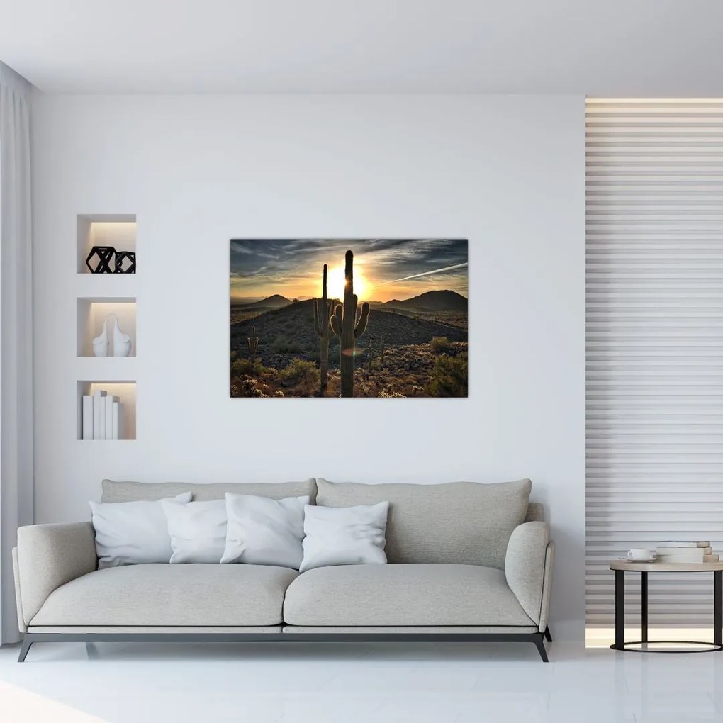 Tablou - cactușii la soare (90x60 cm)
