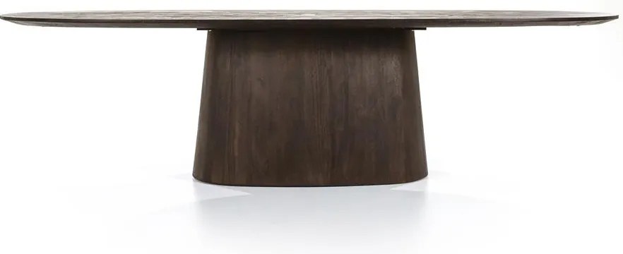 Masa ovala din lemn de mango Aron 300x110 cm maro