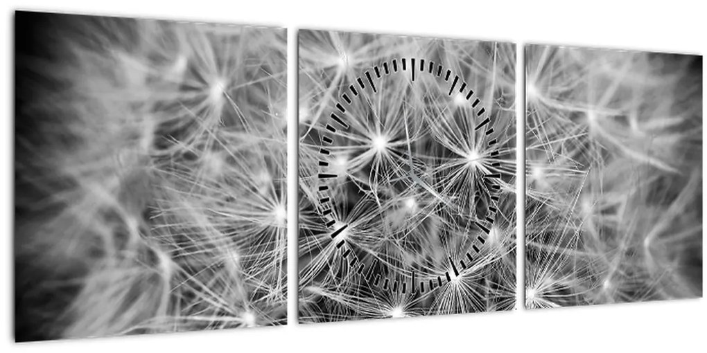 Tablou păpădie gri (cu ceas) (90x30 cm)