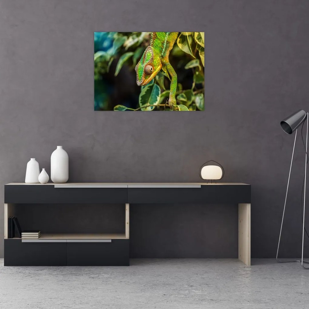 Tablou cu cameleon (70x50 cm)