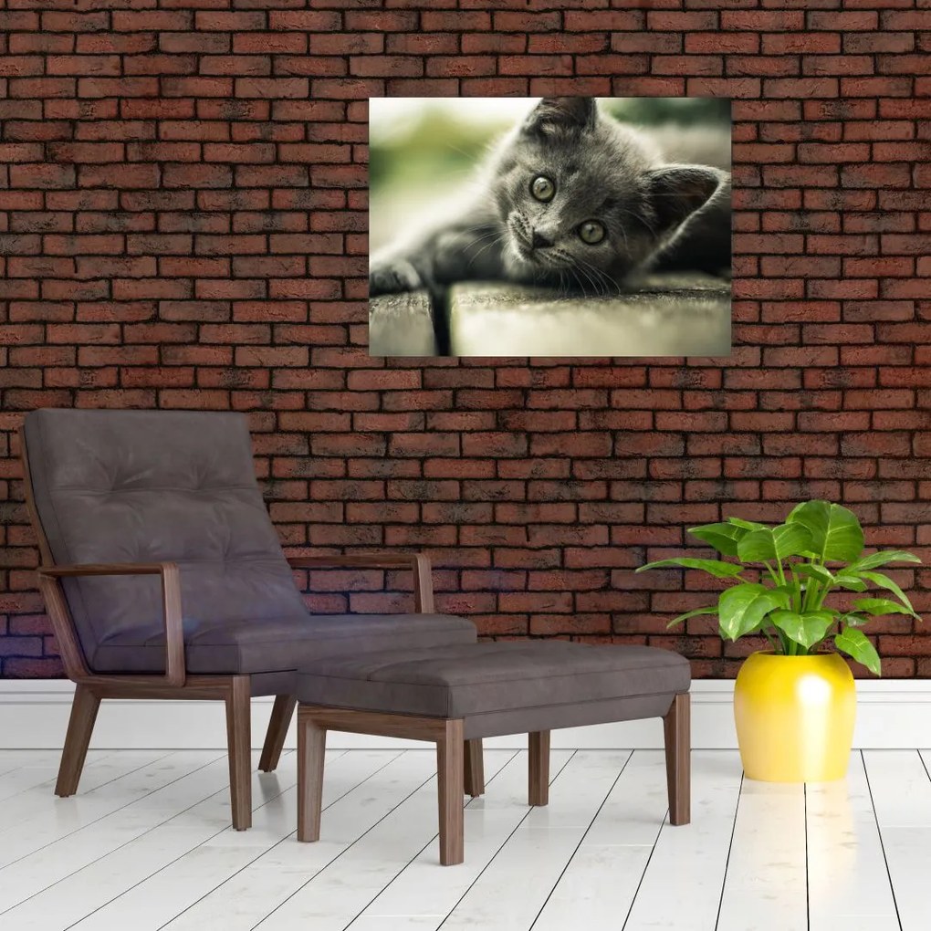 Tablou cu pisicuța (70x50 cm)