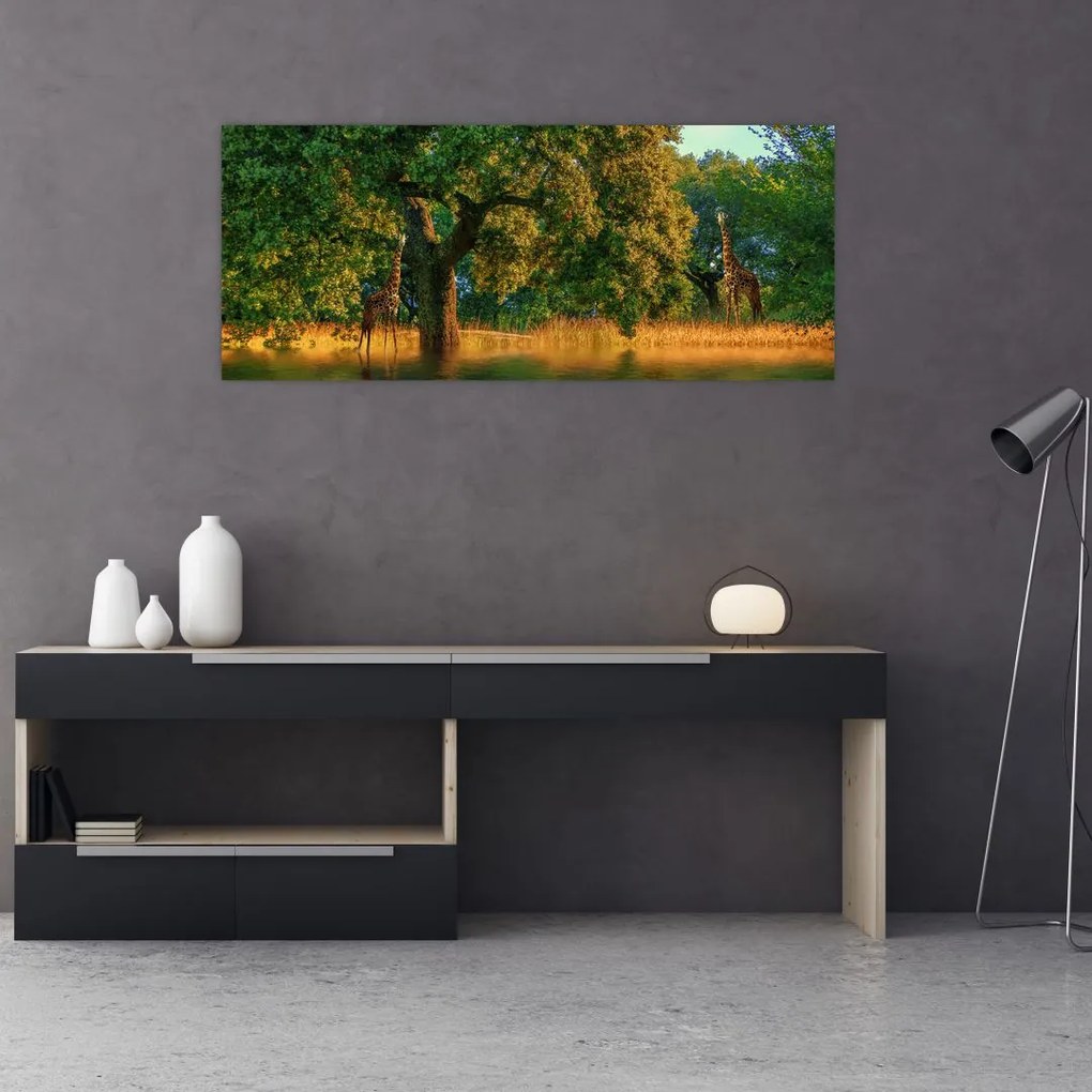 Tablou cu girafe în natură (120x50 cm)
