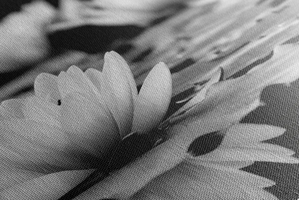 Tablou floare de lotus în design alb-negru
