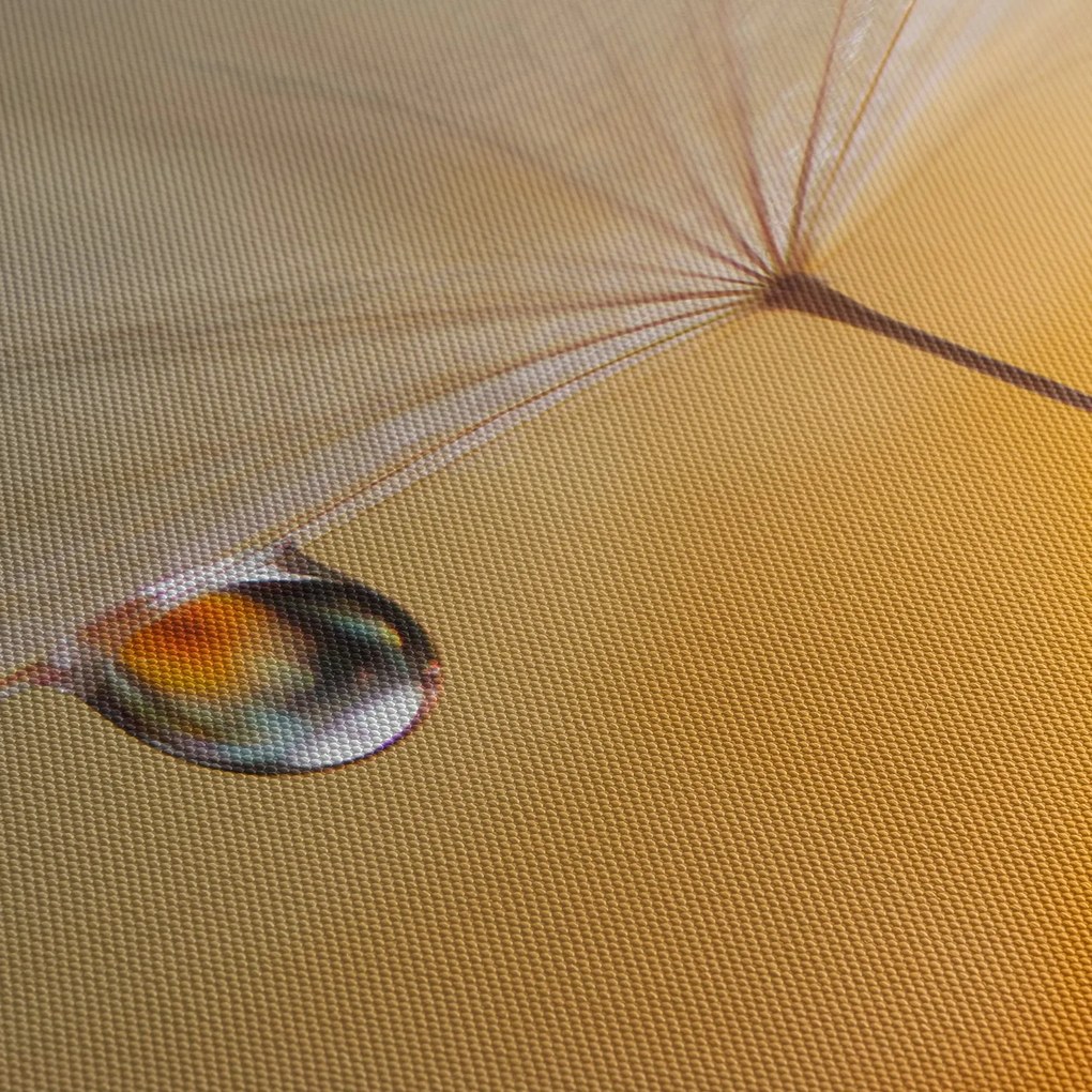 Tablou - Flori macro (150x105 cm)